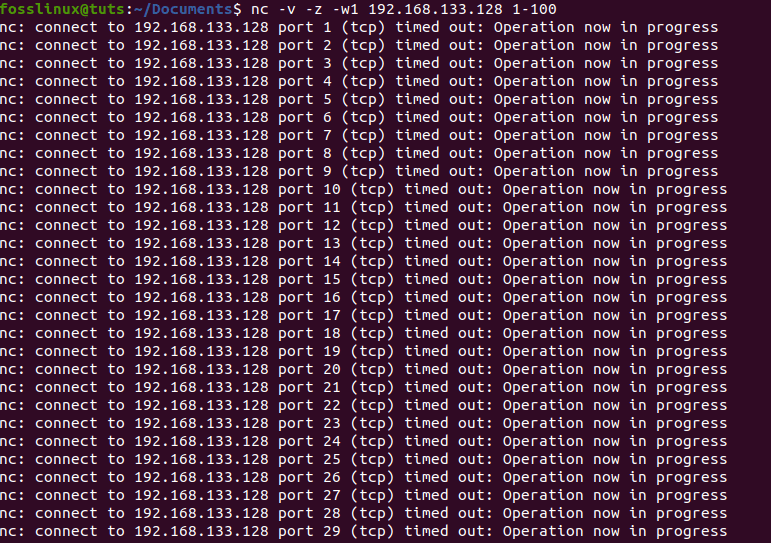 checking IP ports using netcat