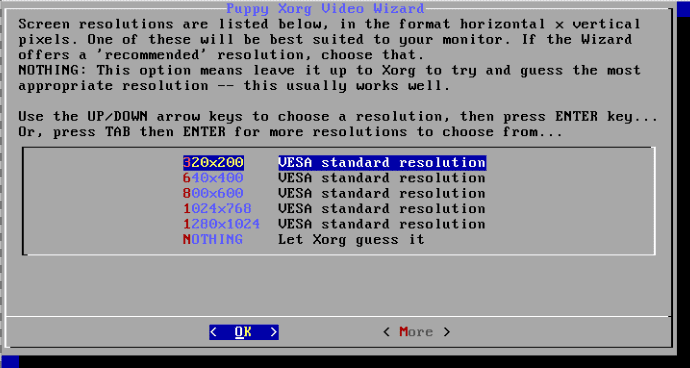 choose your preferred Puppy Linux standard resolution 