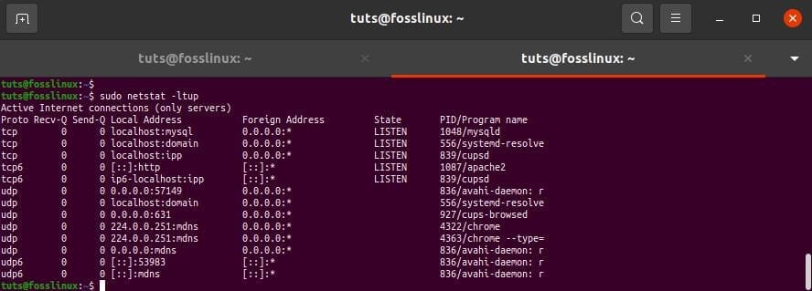 use netstat to print all available ports