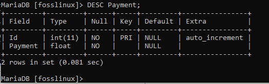 Describing the Payment table