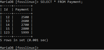 confirming if the records were created successfully in the payment table