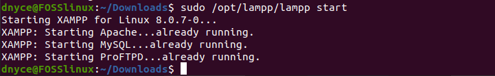 xampp-linux-x64-8.0.7 successful terminal launch