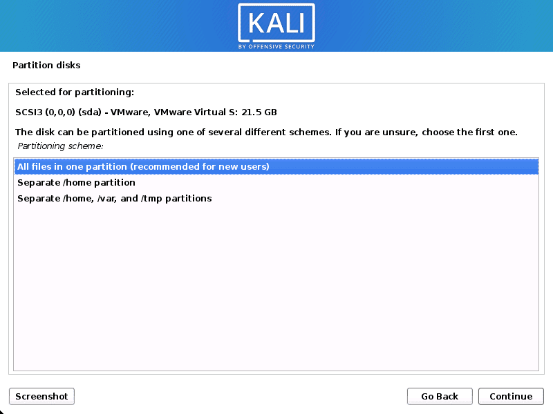 kali linux partitioning scheme