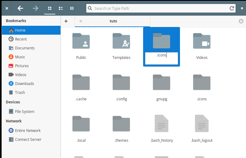 creating a new folder