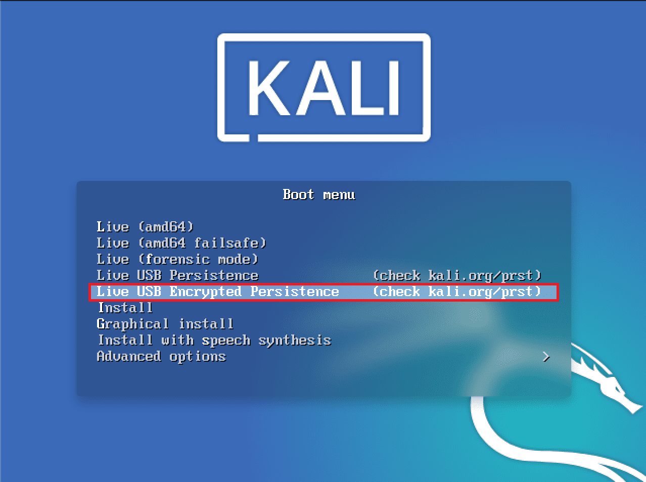 kali live usb persistence