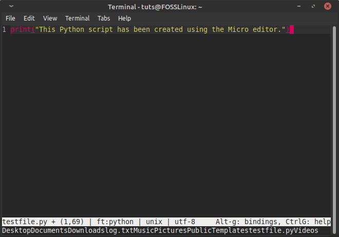 Running the ls Bash command