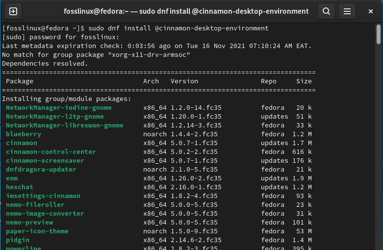 install cinnamon environment