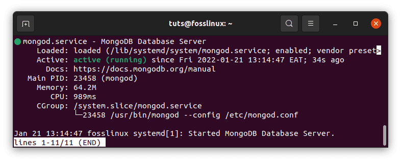 check mongodb status