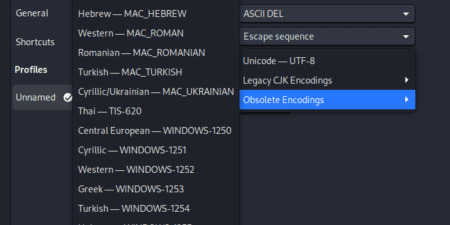 The Encoding options 3