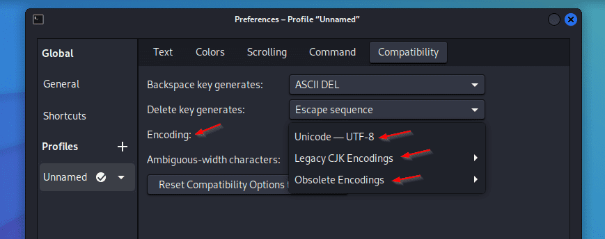 The Encoding options