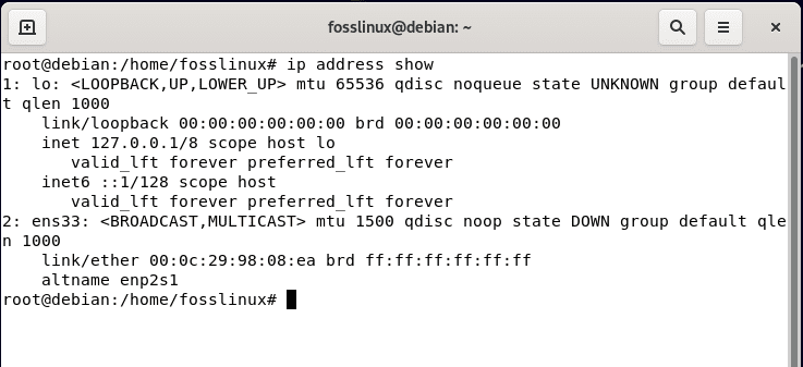 ip address show