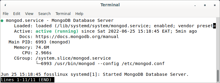 check mongodb status