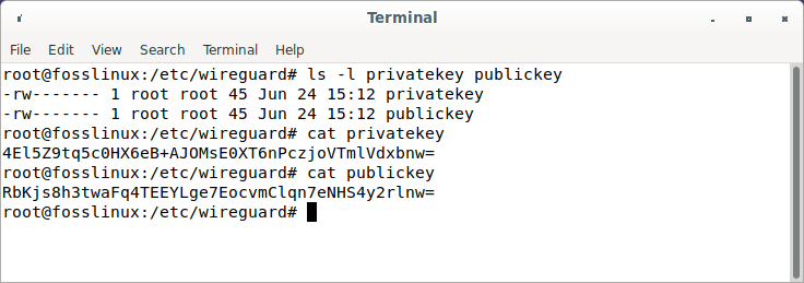 private and public keys