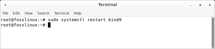 restart bind9