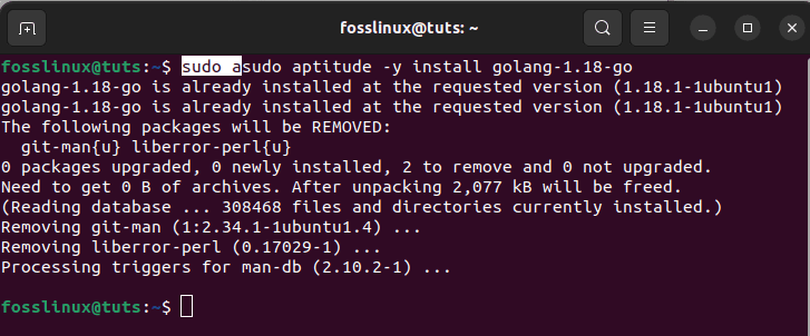 Install Golang