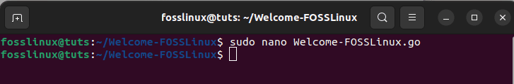 open nano editor