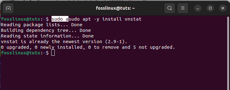 apt install vnstat