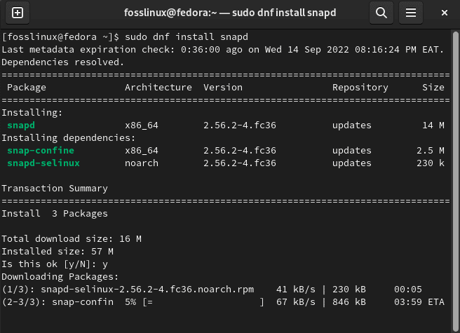 install snapd package manager