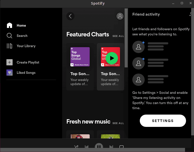 Spotify logged in window