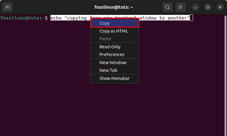 copy from one terminal to another