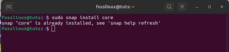 install snap core