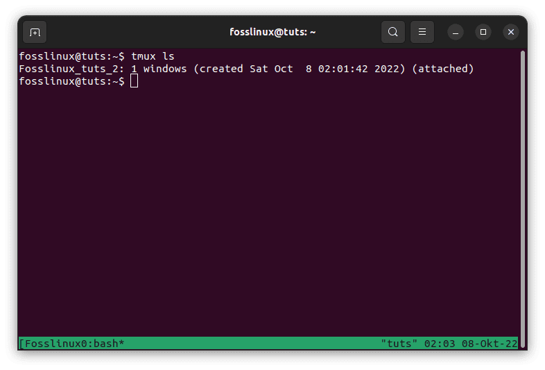 run tmux ls command