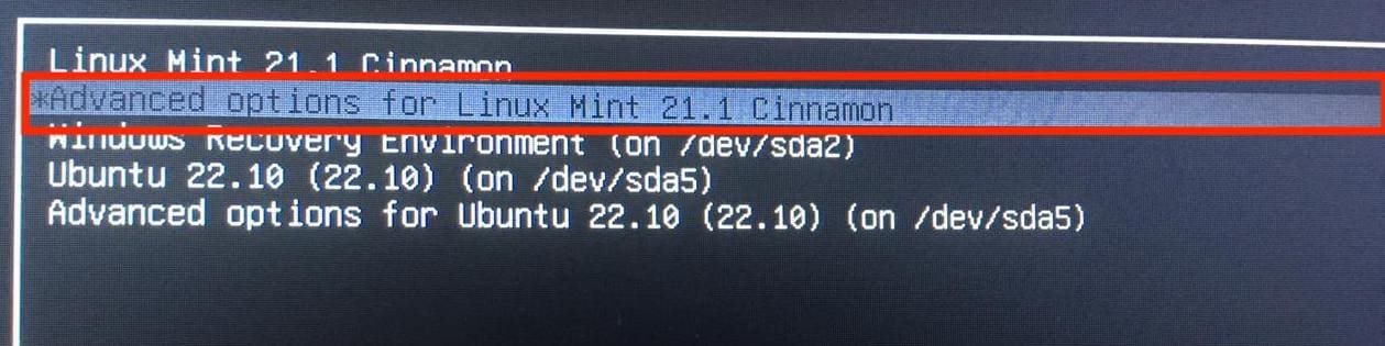 advanced options for linux mint