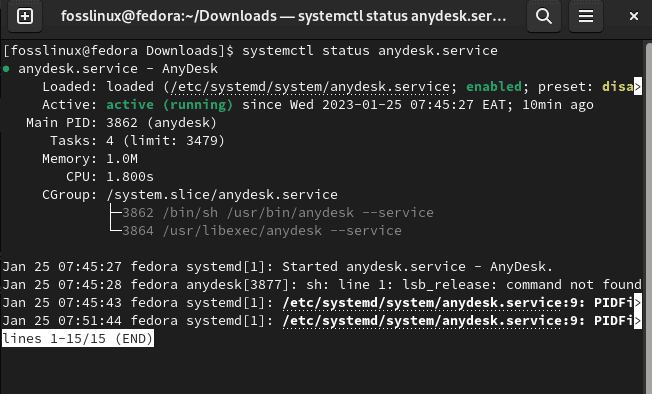 anydesk's status