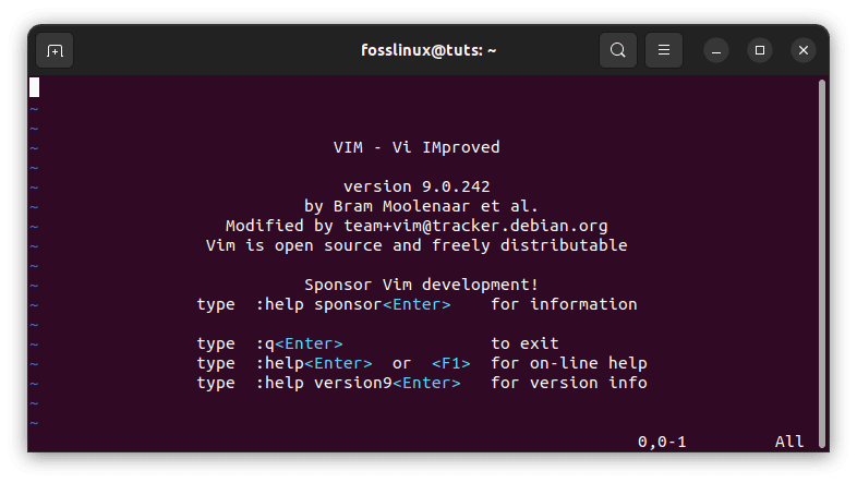 launch vim