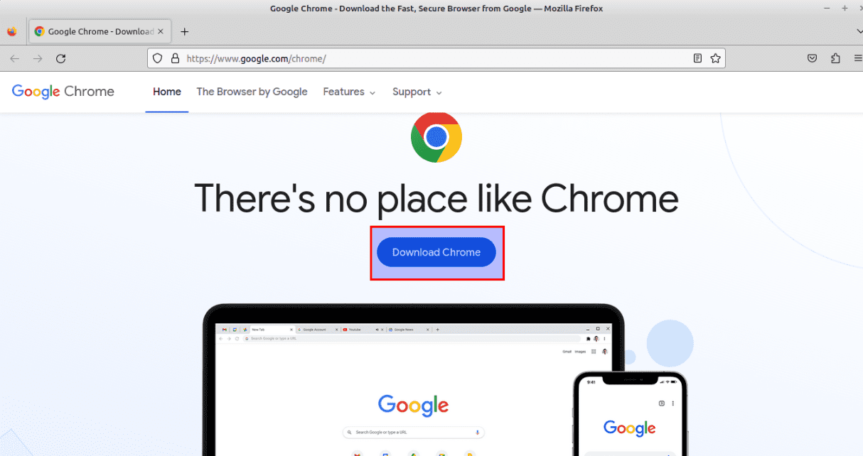 select download chrome