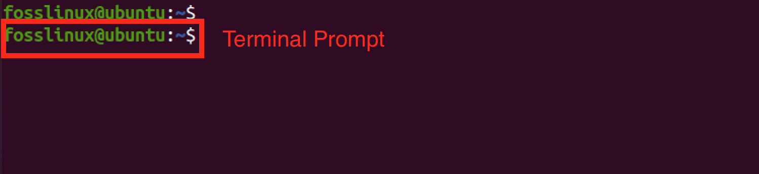 terminal prompt