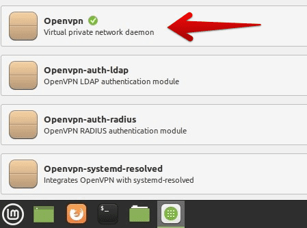 VPN on Linux Mint