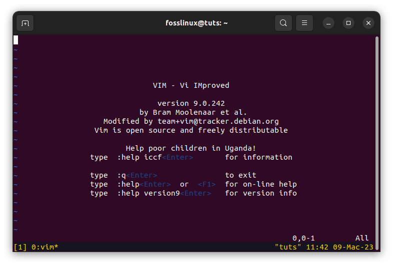 new vim screen