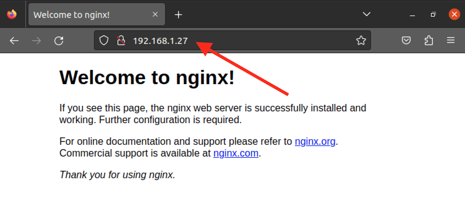 nginx default page