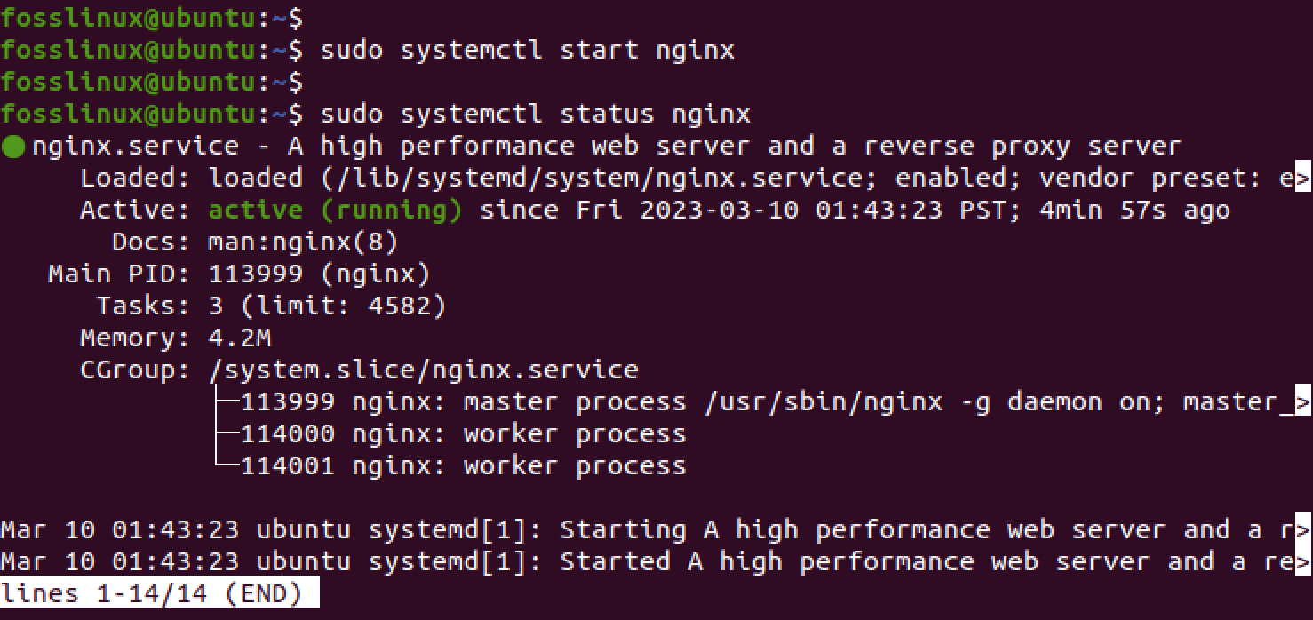 nginx service