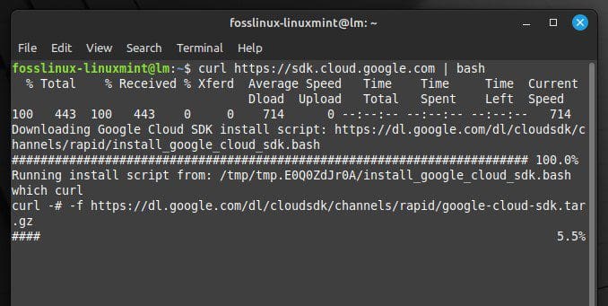 Running Google's installation script