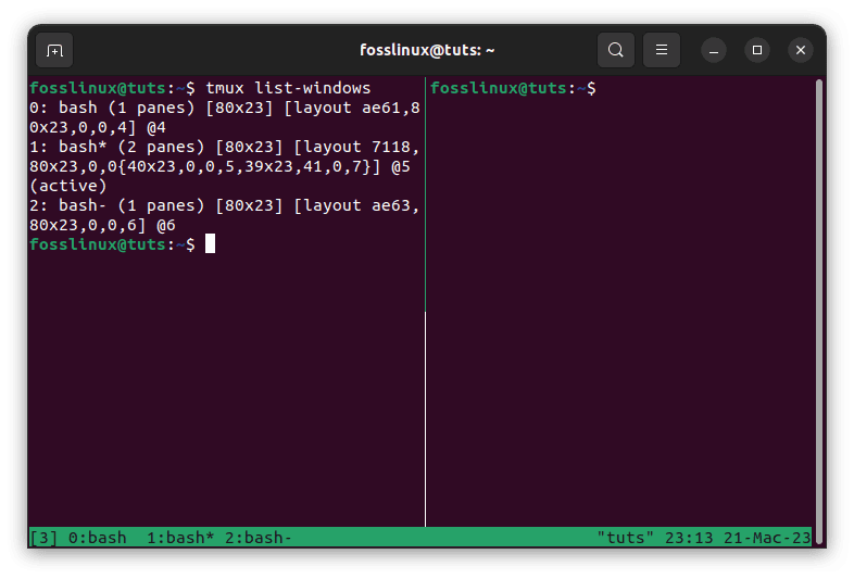 tmux list windows