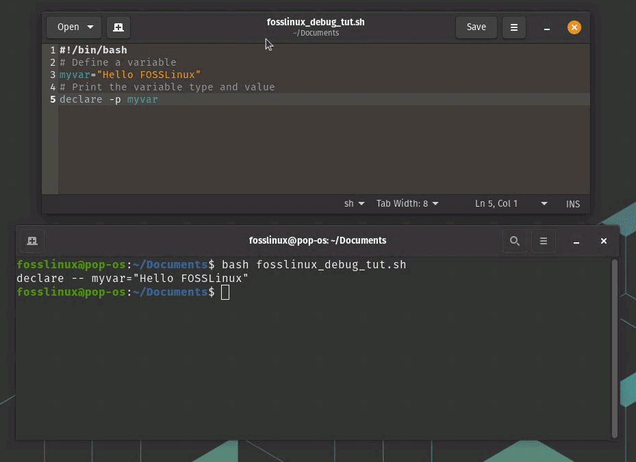 declare p to print variable types