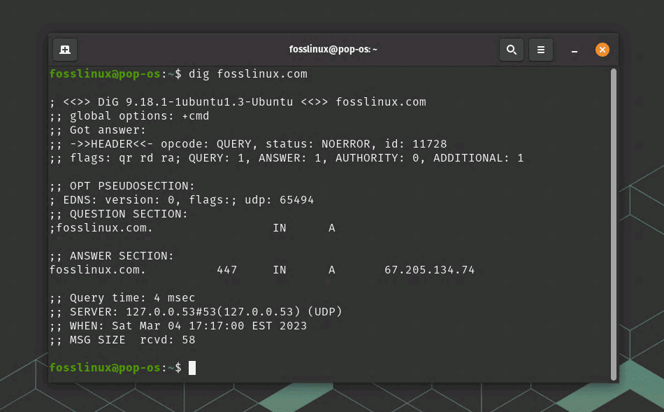 dig command usage