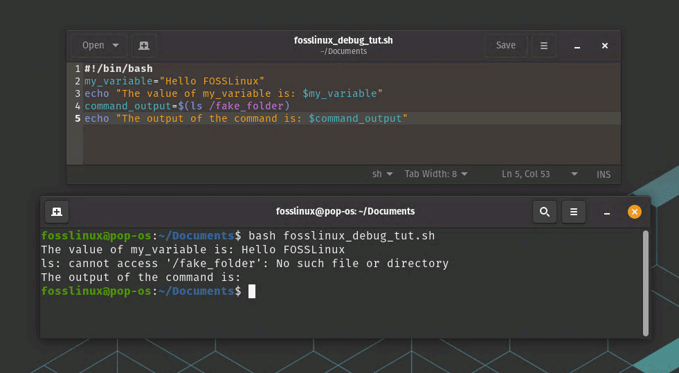 echo command usage to print variables during debug