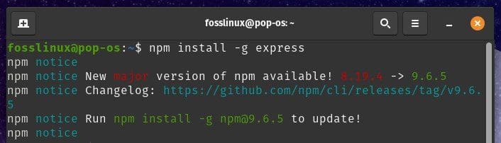 Installing dependencies with npm