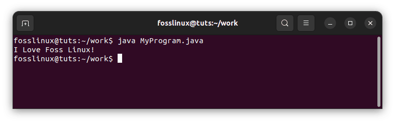 run myprogram.java program