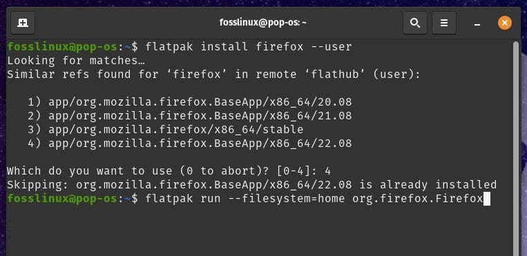 Using the --filesystem option