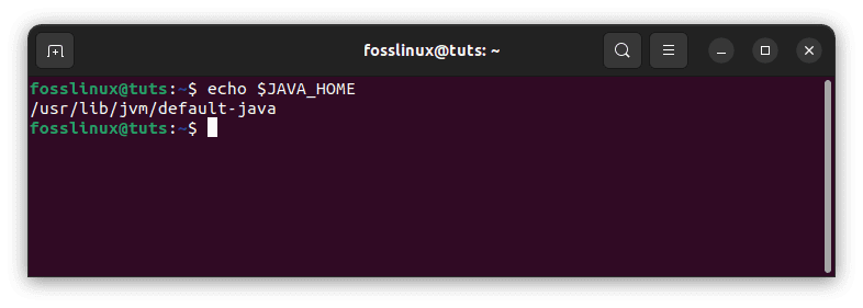 verify environment variables