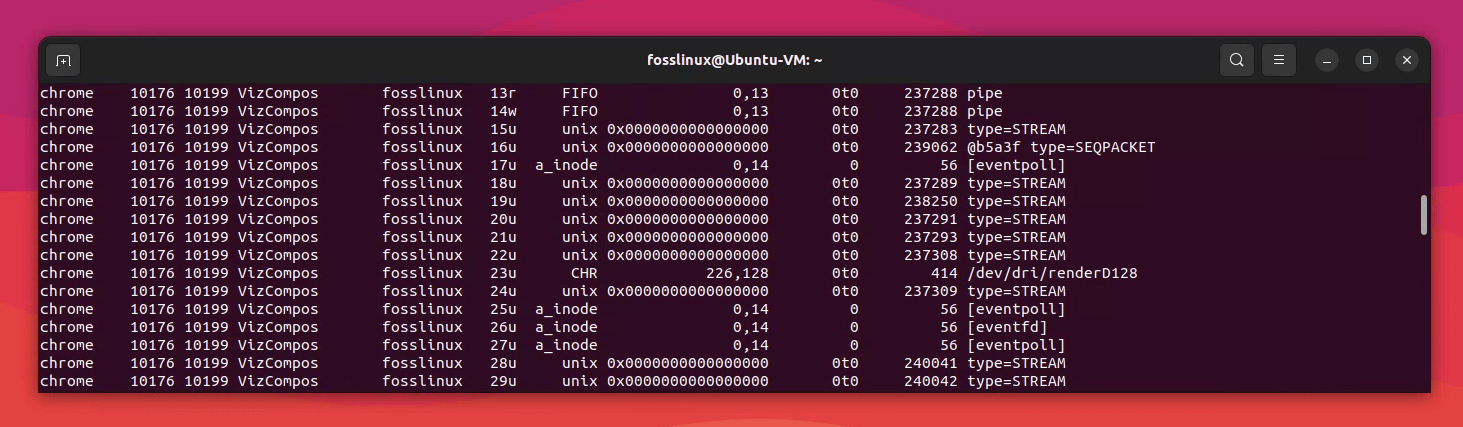 lsof command usage