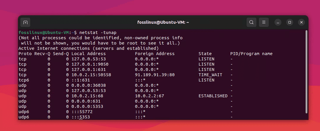 netstat command usage