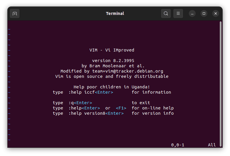 launch vim