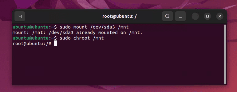 mounting root partition and applying correct permission