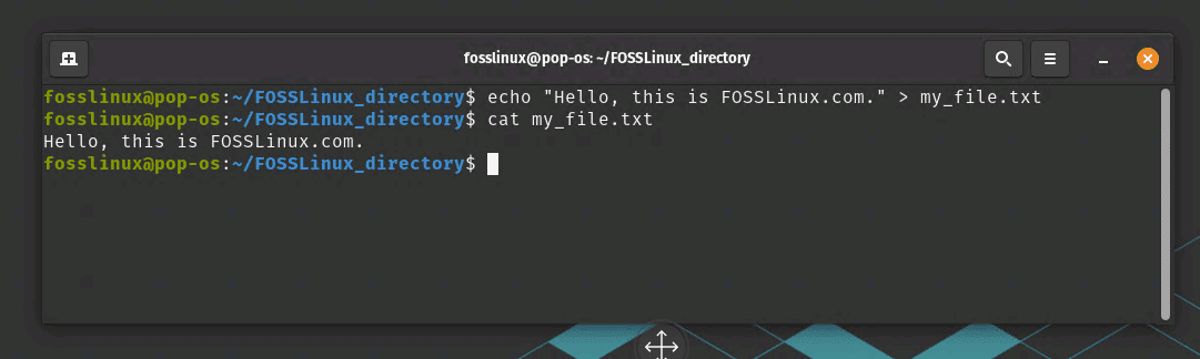 adding text inside a txt file using echo and reading it in terminal using cat