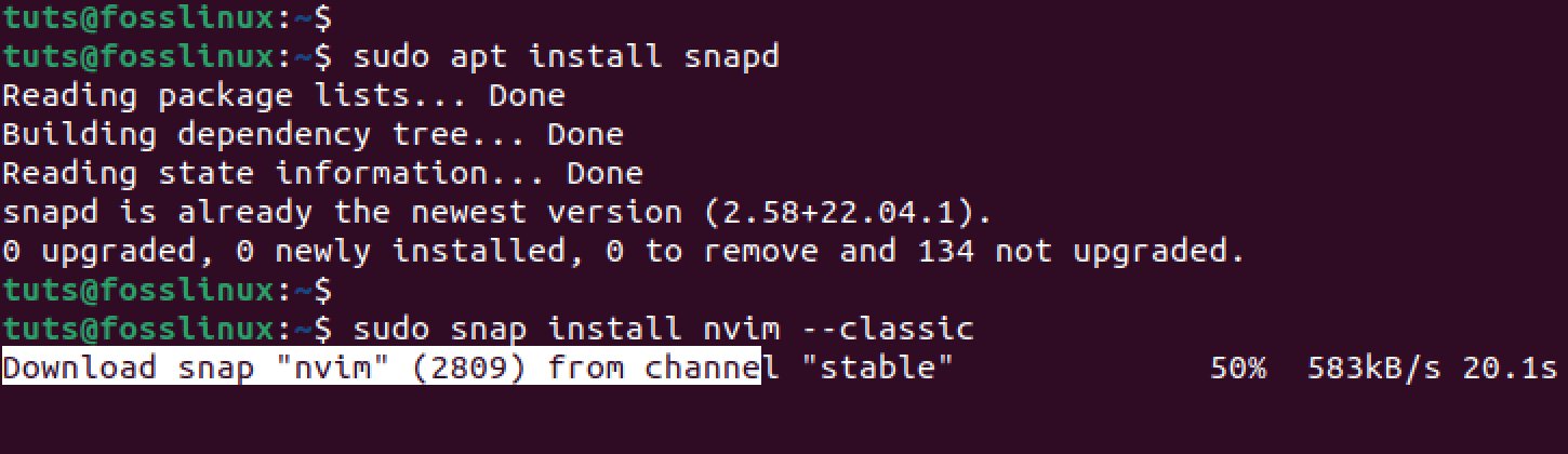 install neovim snap package